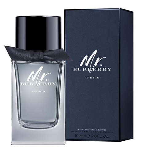 mr burberry 100ml parfum|mr Burberry indigo 50ml.